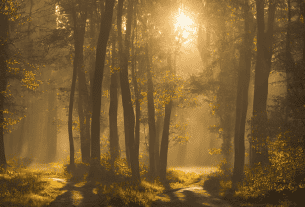 a guide to understanding your sleep chronotype