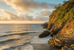 Somatic Coastline Science healing seascape