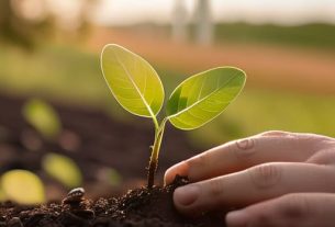 How to start investing for beginners guide.
